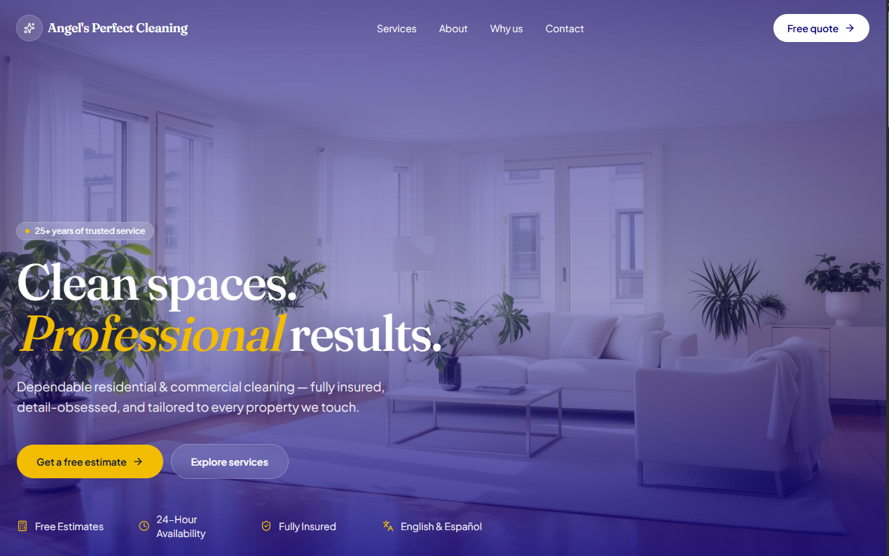 CLEANING WEB SITE